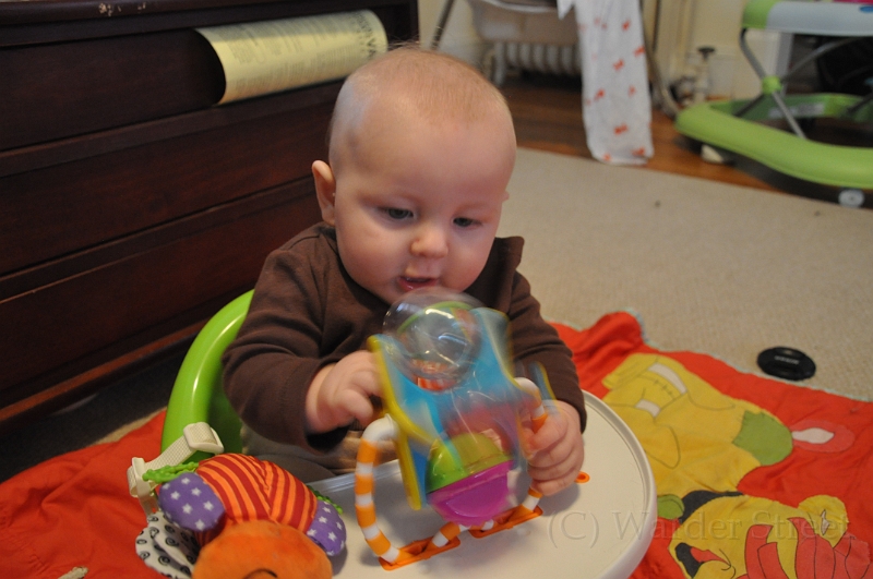 William's Nineteenth Week 31.jpg